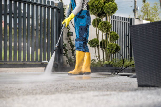 Animal Enclosure Cleaning in Olivet, MI